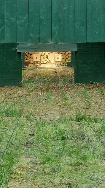 Sebastianhütte 2025 51.jpg